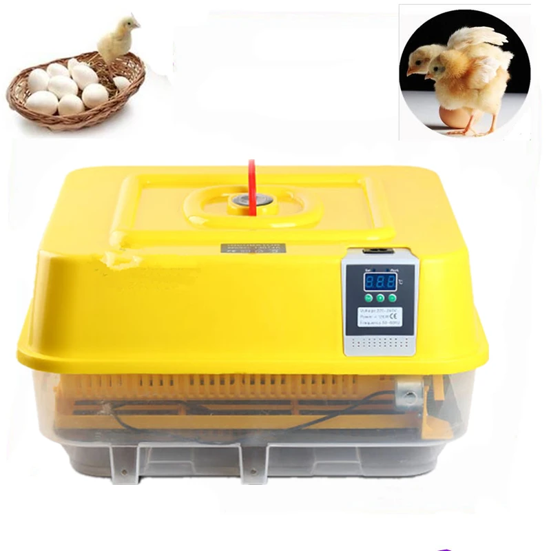 Buy Mini family chicken brooder intelligent home use
