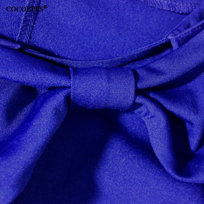 COCOEPPS13