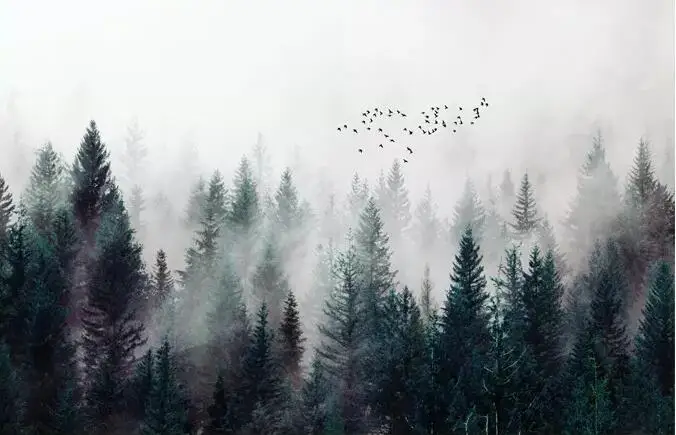 Beibehang пользовательские обои современный высокое качество Туманный лес облака Летающие птицы пейзаж ТВ задний план Настенные обои behang