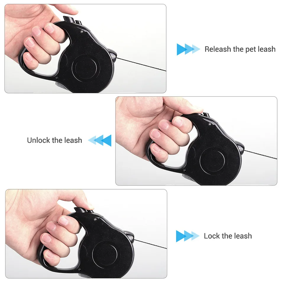 dog leash running