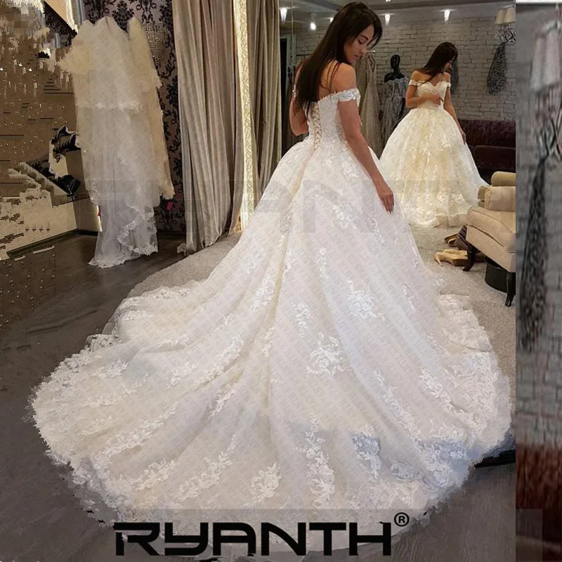 HTB1yXcqasrrK1Rjy1zeq6xalFXam