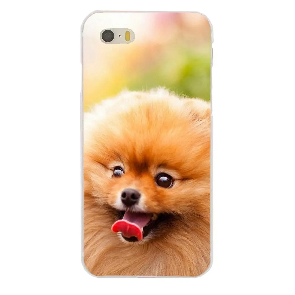 Pomeranian Puppy Dog для Sony Xperia Z Z1 Z2 Z3 Z4 Z5 compact Mini M2 M4 M5 T3 E3 E5 XA XA1 XZ Premium мягкий чехол с