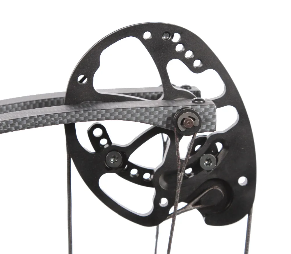 Sanlida Prodigy X10 High End Target CNC Compound Bow 310FPS 50 60lbs 26 28 ''анодированный охотничий Спорт на