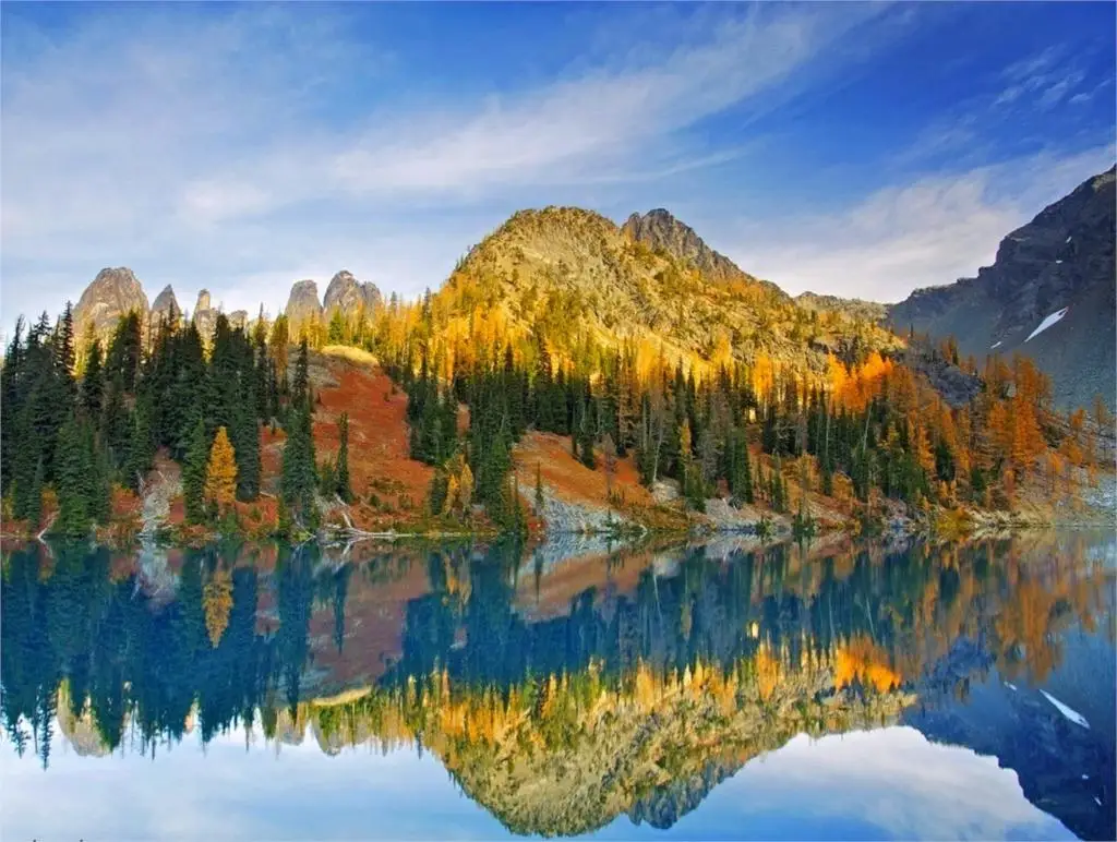 Online Buy Wholesale state forest from China state forest