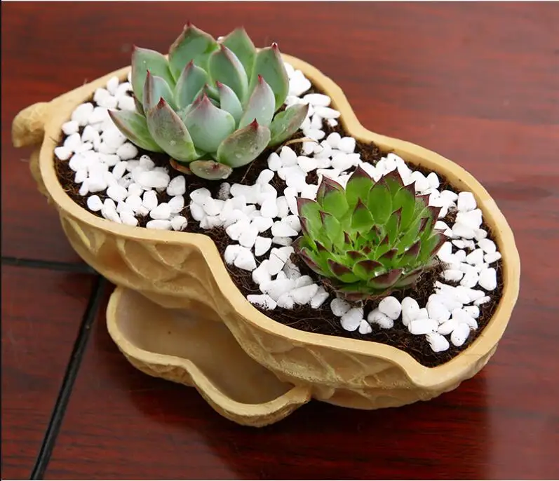 Buy Simulation peanut plants nursery pot 20*12.5*5.3cm