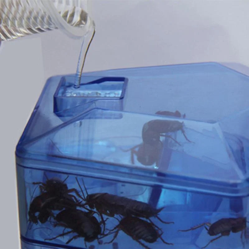 Ловушка для тараканов для Дом Офис Кухня обновление безопасный эффективный Анти тараканов Killer PestControl Плюс Большой Отпугиватель не загрязнять