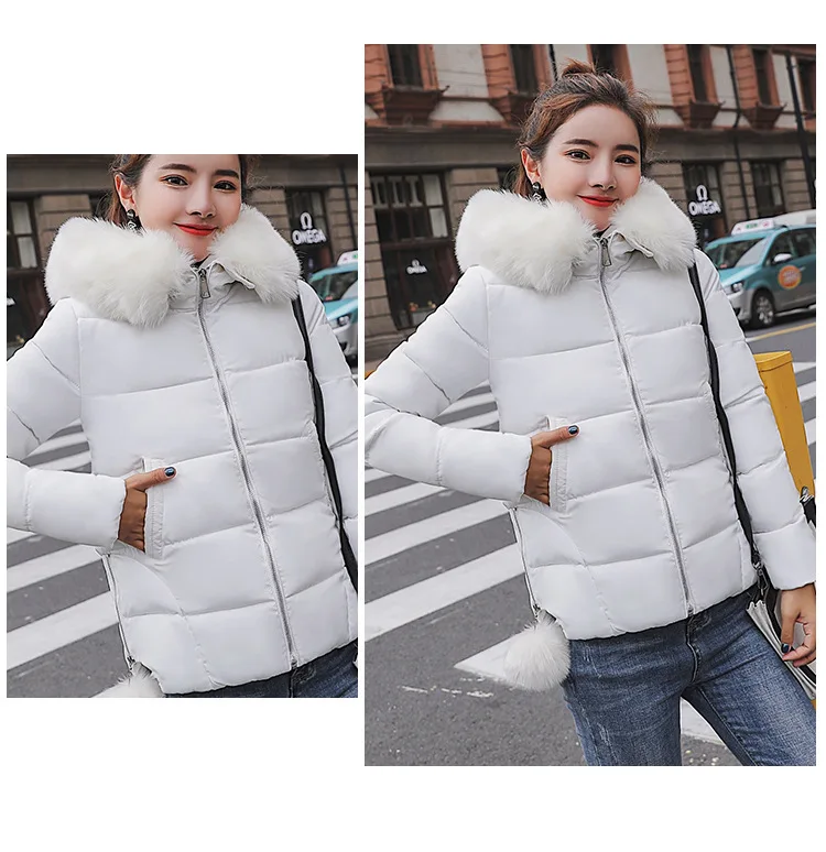 Cotton (16).jpg