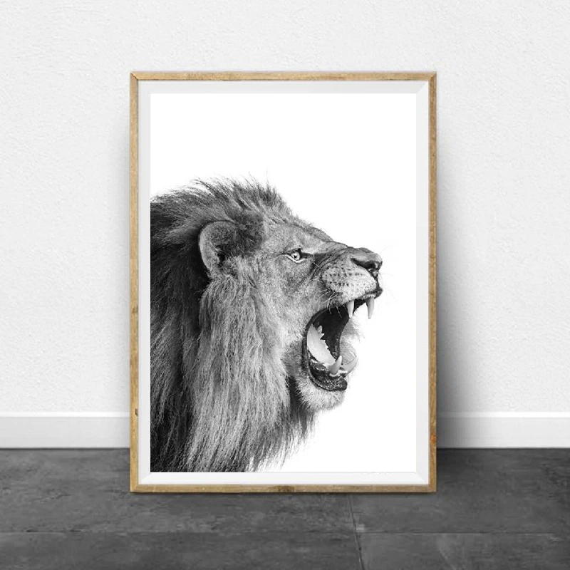 Lion Roar Canvas Prints