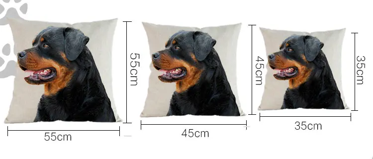 222228822_05