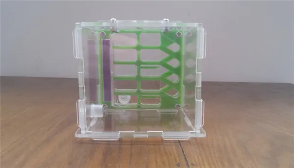 T2-Ant-nest (13)