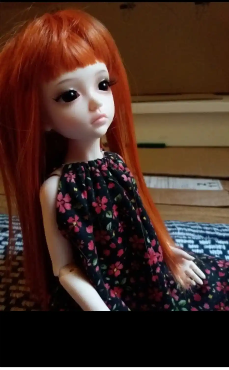stenzhorn bjd