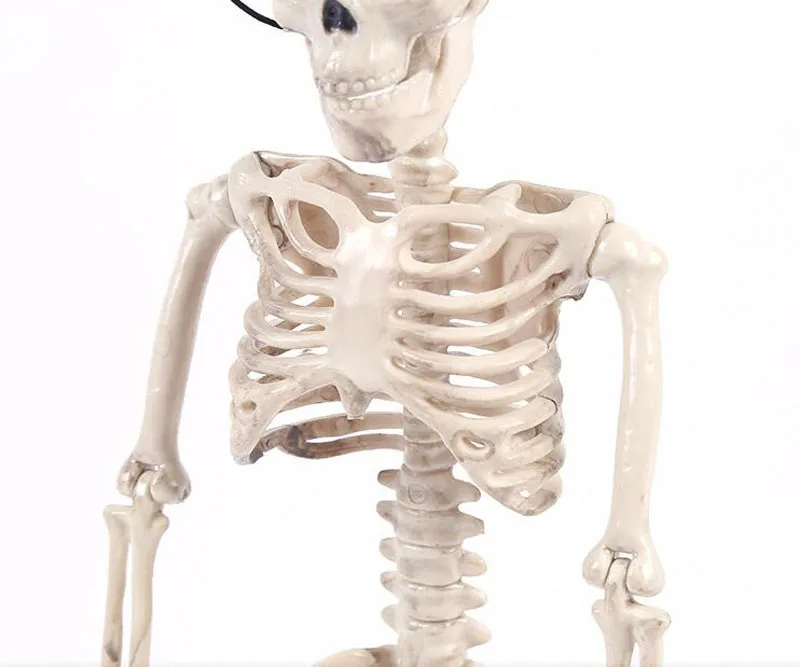 Cosplay&ware 1pairslot Halloween Decoraions Horror Skeleton Frame Haunted Ghost Bride Bridegroom Couple Party -Cosplayware Store HTB1f MjXQH0gK0jSZPiq6yvapXa5.jpg