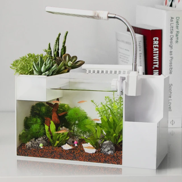 creative ecologies amphibious tank aquarium landscaping