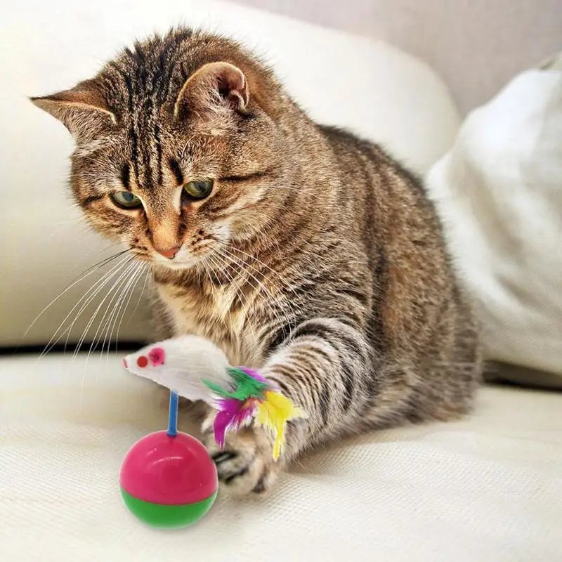 Забавные прочный игрушки для котов Мими любимый Мех животных мышь котенок игрушки для котов пластик играть шары поймать домашних животных