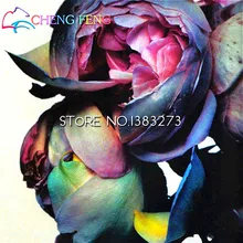 Bonsai Rare 10 Pcs Chinese Peony Seeds Planting Flowers Courtyard Garden Paeonia Suffruticosa Seed Light Fragrant Jardin Potted.