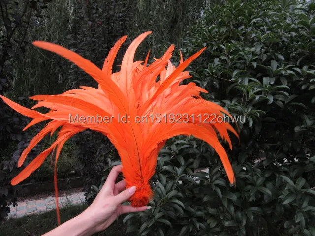 

30-35cm /12-14 inch pure Orange Rooster tail feathers Chicken feathers cock tail feather Rooster Tail Coque Feathers 10pcs