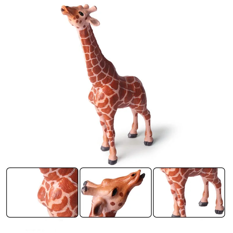 giraffe (5)