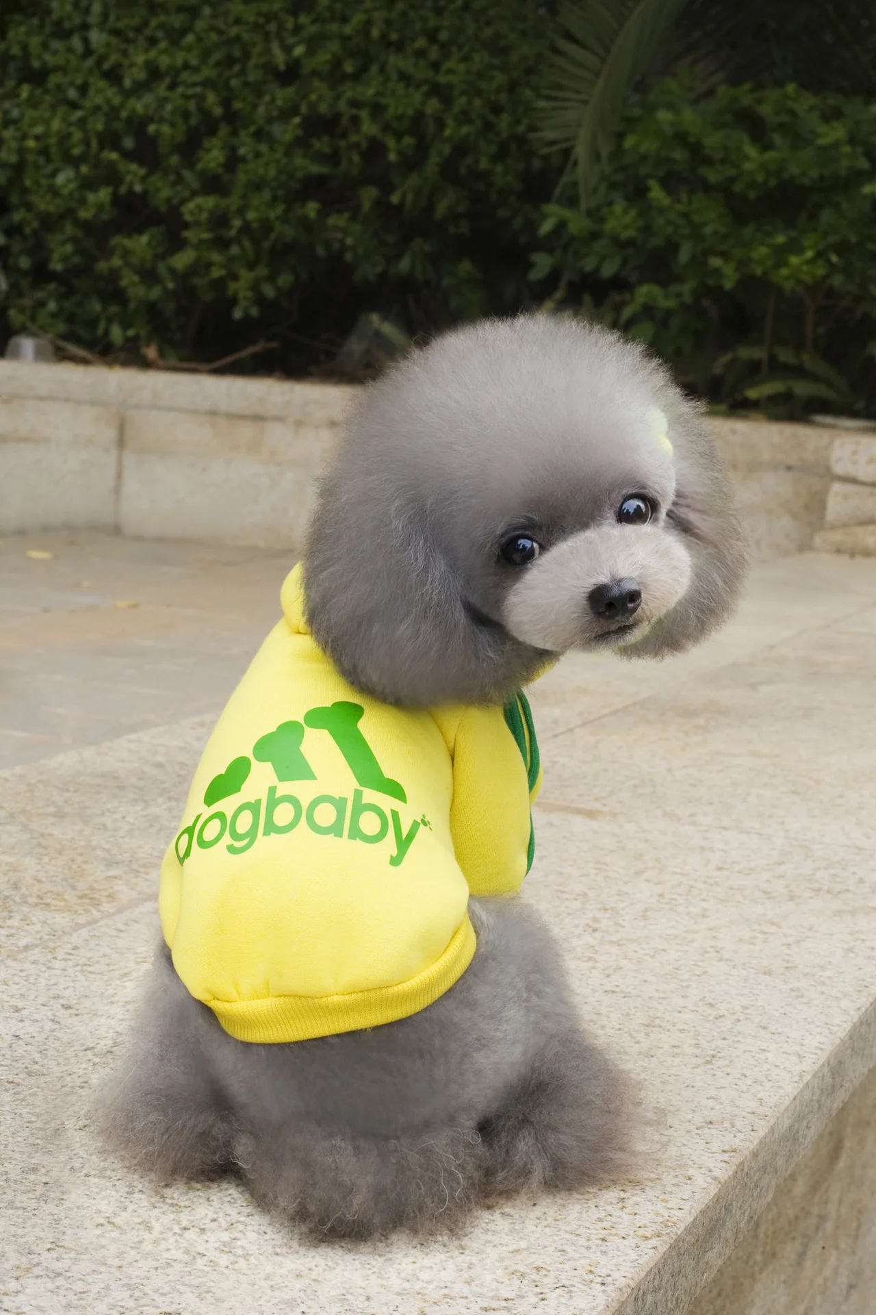 Dogbaby зимняя повседневная одежда для собак Adidog теплое пальто с капюшоном куртка одежда для собак