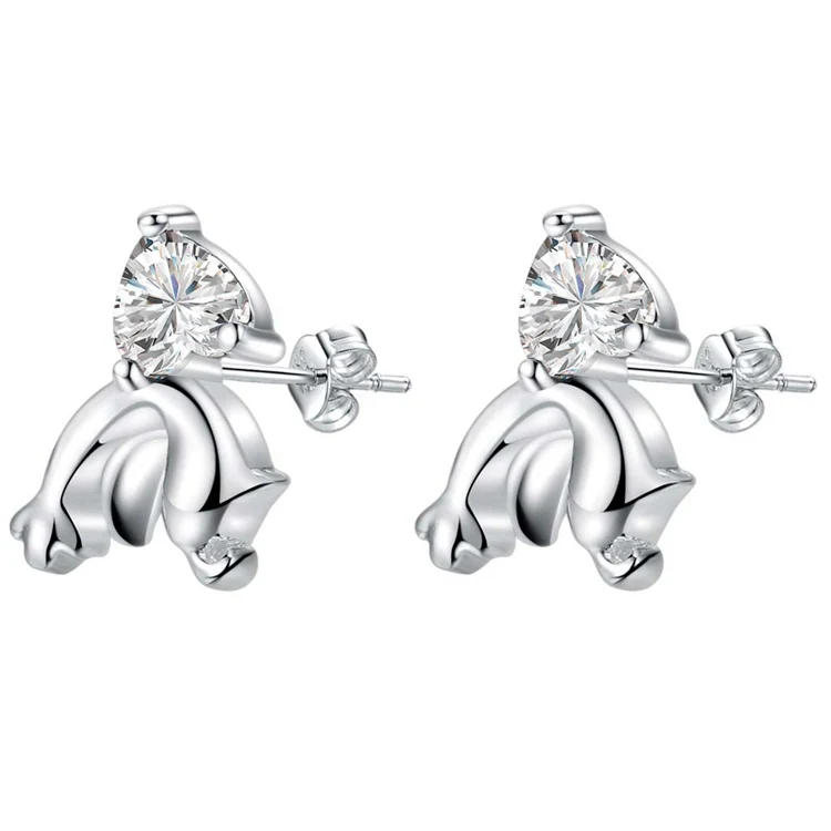 

wholesale women's jewelry silver Fashion jewelry errrings WE-650