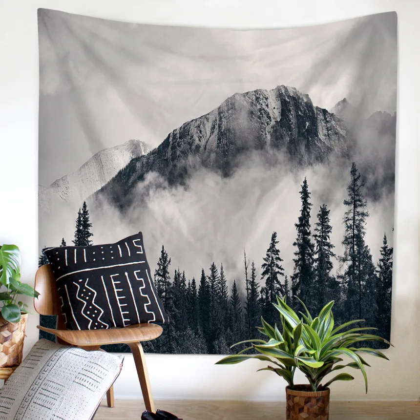 5404247312_1750193108