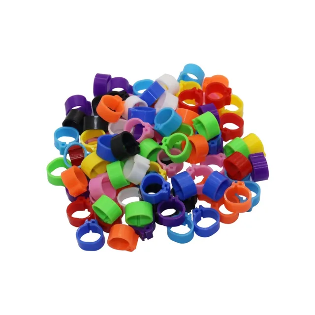 100 Pcs Pigeons Rings 8mm Bayonet Identification Ring Opening Pigeon Ring Color Pigeon Foot Ring Pigeon Supplies Bird Appliances 1