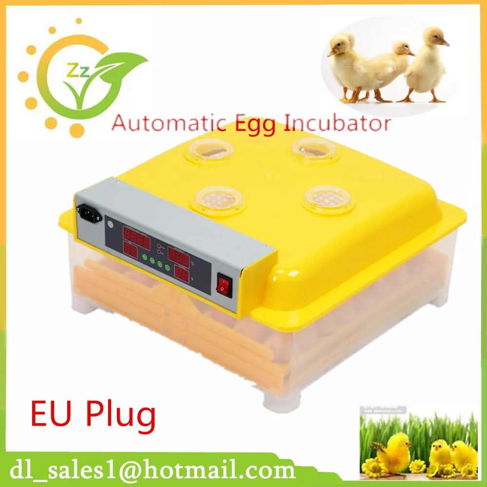

Mini 48 Chicken Egg Incubators Sale Turning Motor Control Tray Automatic Duck Pigeon Quail Parrot Incubation