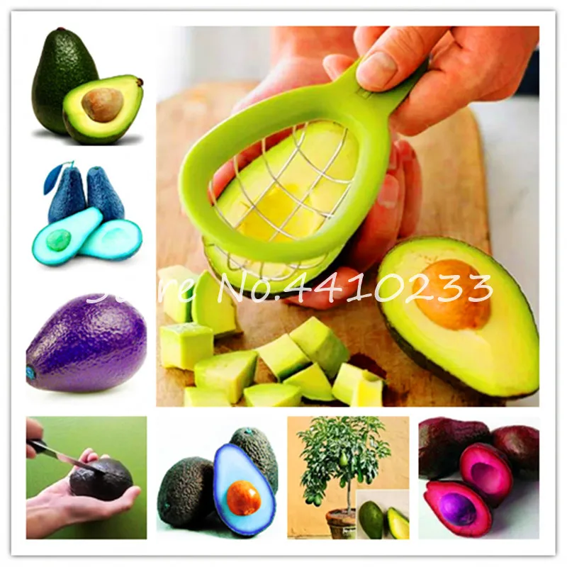 

Sale ! 2 Pcs Bonsai Avocado Delicious Sweet Fruit Tree Easy To Grow For Home Garden Organic Vegetable Pot Plant Gift For Kids