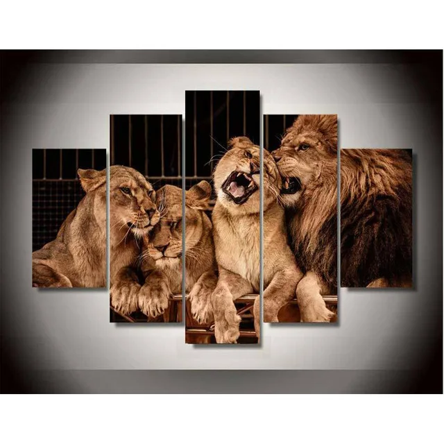 

5 Piece canvas art new Animal Canvas Printings Lion Zoo Painting Wall Decoration for home Poster Canvas Free shipping\C-630