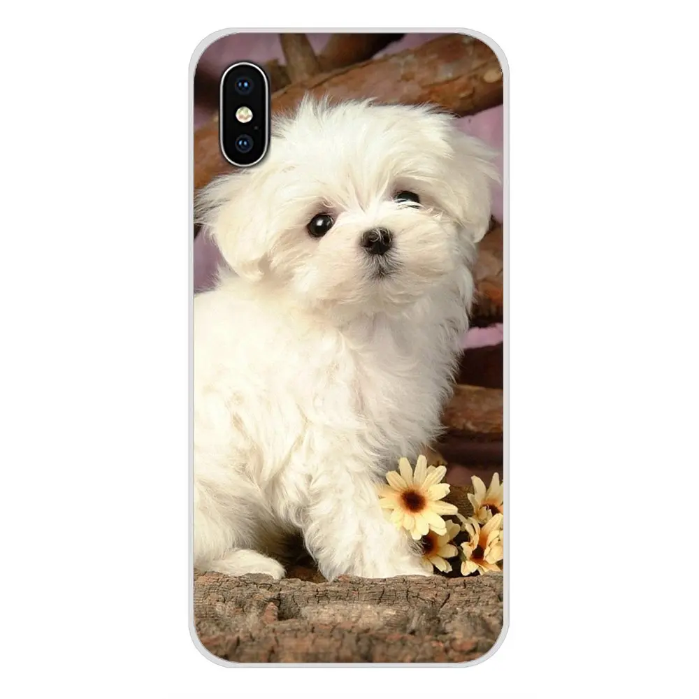 Чехол для мобильного телефона I Love My Maltese dog puppies Nokia 2 3 5 6 8 9 230 3310 1 7 Plus LG Q6 X