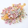 50/100Pcs 2cm Multicolor Daisy Flower Heads Mini Silk Artificial Flowers for Wreath Scrapbooking Home Wedding Decoration ► Photo 3/6