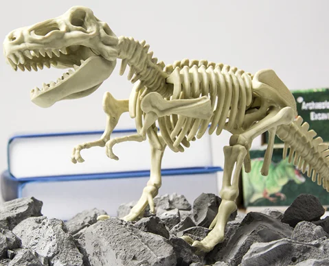 

Toy dinosaur fossils excavated archaeological hand-made diy creative model mining skeleton assembling toys gift funny