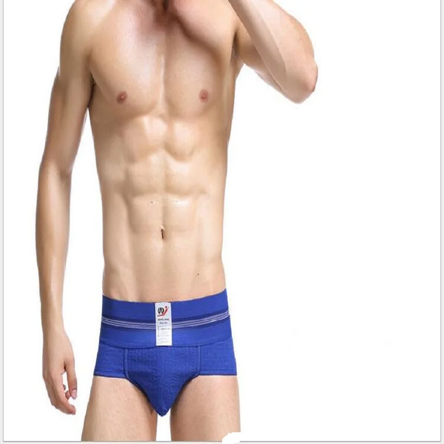 High Quality Mens Mesh Briefs Sexy Men Underwear Breathable Mens