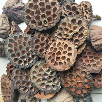 

New Natural Dried flower Lotus DIY decoration for home party office decorative pressed flowers 1pcs