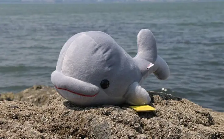 

large 38cm gray whale stuffed plush toy soft throw pillow,birthday gift b0554