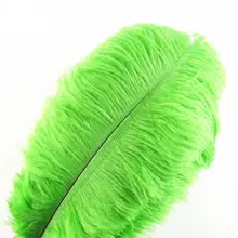 Зеленые страусиные перья 15-75 см 6-30 дюймов самодельные карнавальные вечерние украшения для свадьбы натуральный Плюмаж из страусиного пера