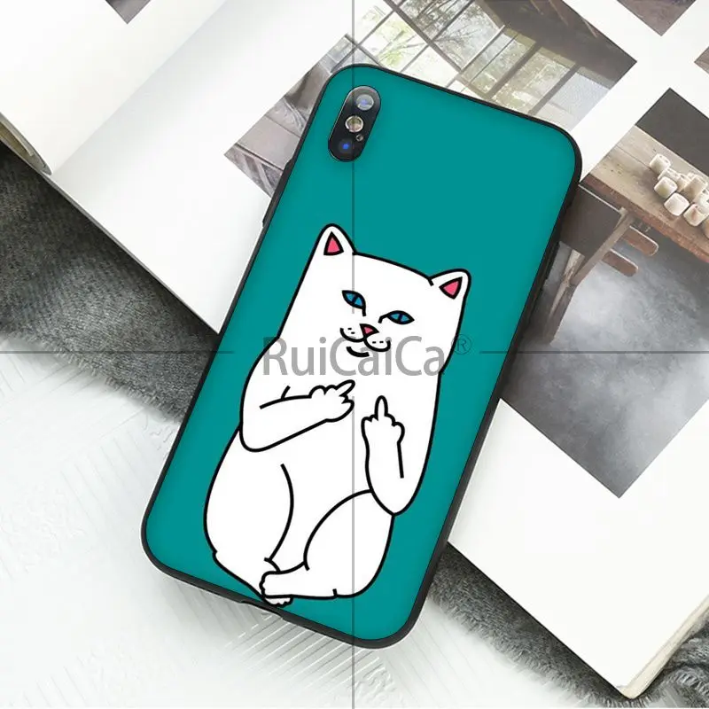 Art middle finger cat