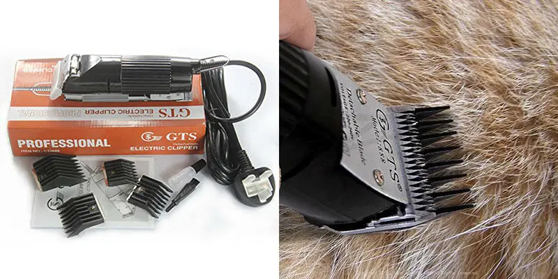 GTS-888 pet hair trimmer high power electric blade clipper (23)