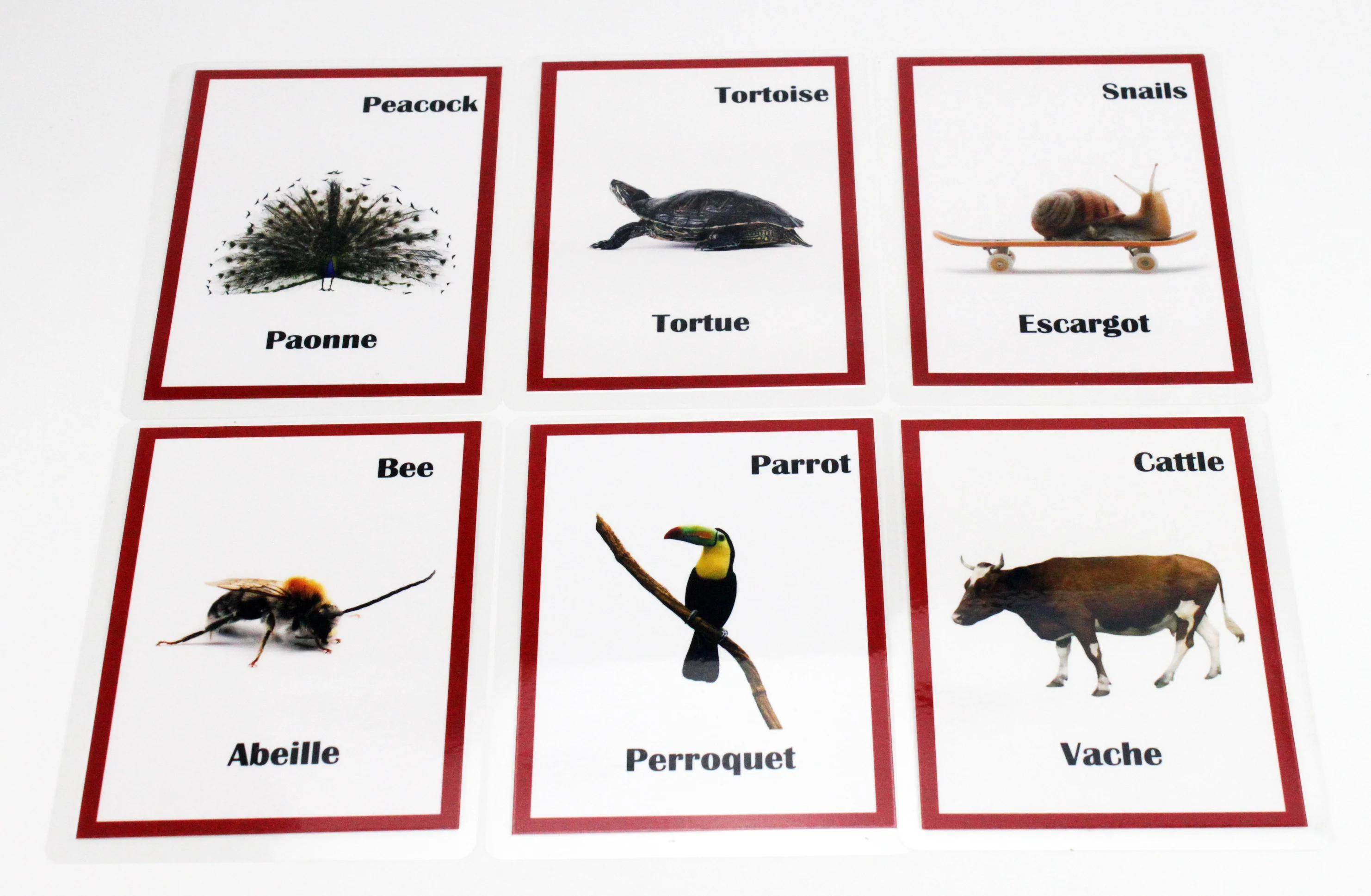Educativos para Crianças Brinquedos para Crianças Francês Inglês Animais Aprendizagem Flashcards Cartão Jogos Juguetes Educativos 30pcs - 11 Computers & Electronics