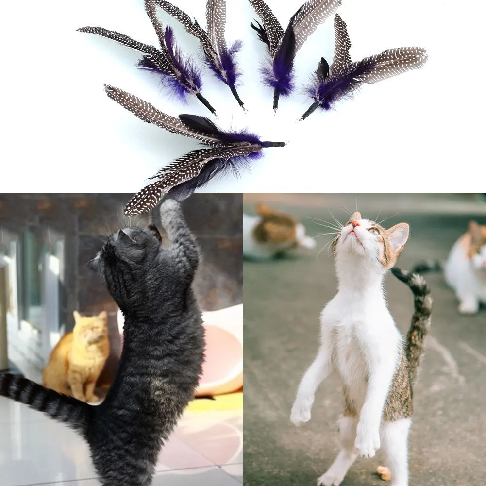 

5PCS/Lot Pet REFILLS for Da Bird Feather Toys Cat Stick Wand Cat Toy Interactive Toys Refill Drop Shipping