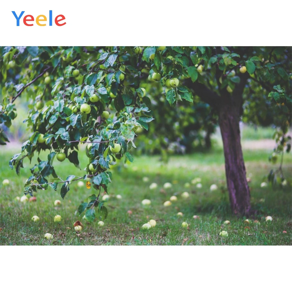 

Yeele Landscape Photocall Fruits Tree Vitality Nice Photography Backdrops Personalized Photographic Backgrounds For Photo Studio