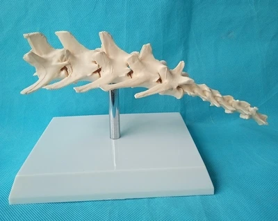 20171111_235338_069