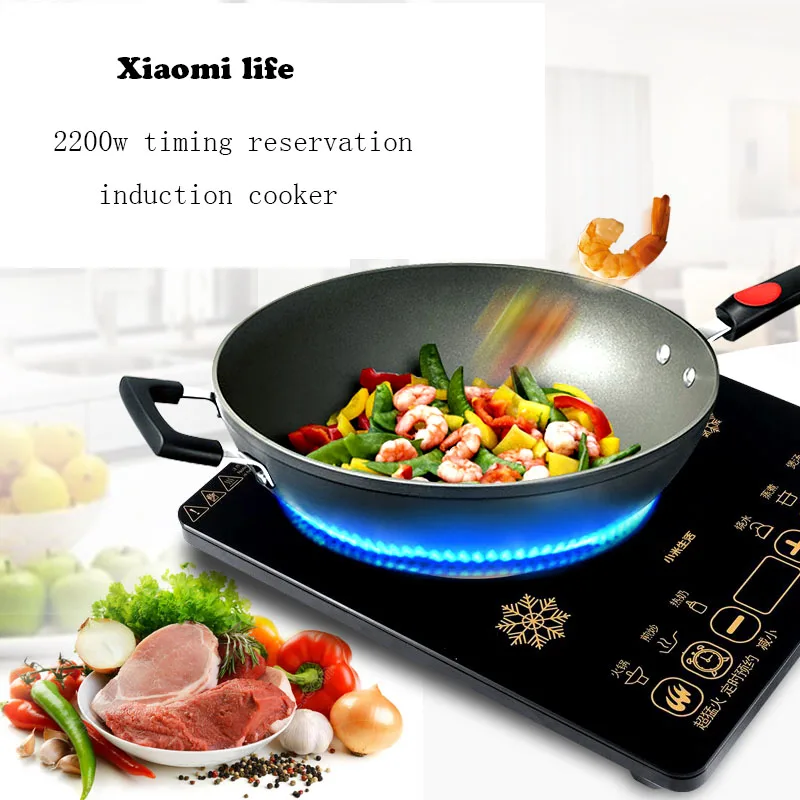 Xiaomi Intelligent Electric Touch Induction Cooker