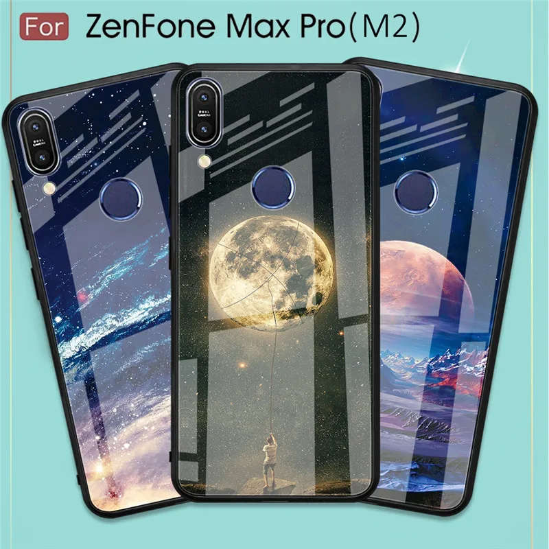 

For Asus Zenfone Max Pro M2 ZB631KL Pro M1 ZB602KL Case Animal Tempered Glass for Asus ZB631KL 631KL ZB 631KL Frame Fashion Case