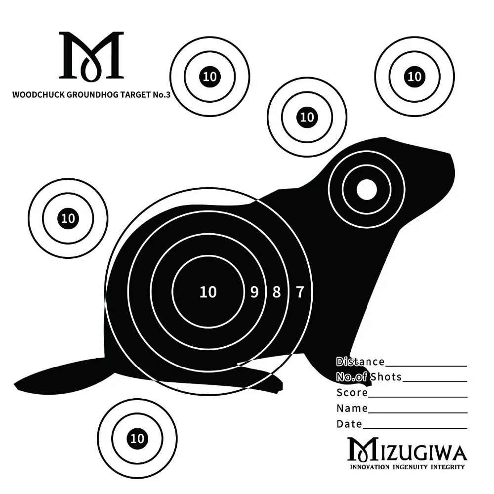 WOODCHUCK GROUNDHOG TARGET