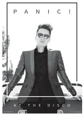 Panic! В Disco BRENDON музыка искусство настенный Декор Шелковый печатный
