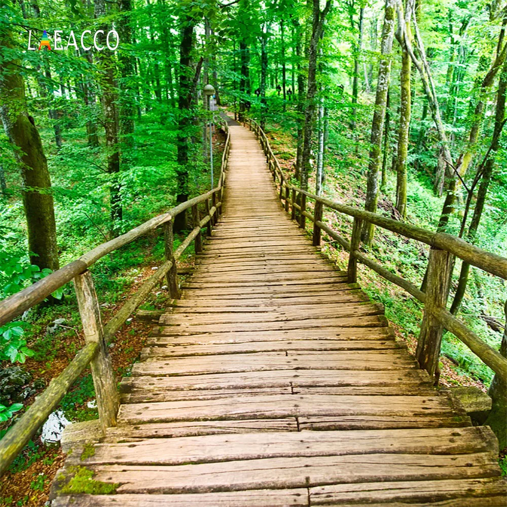 Laeacco Musim Semi Hutan Kayu Jembatan Jalan Pemandangan Fotografi