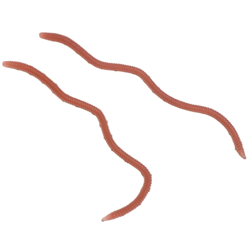 2SS100262-5