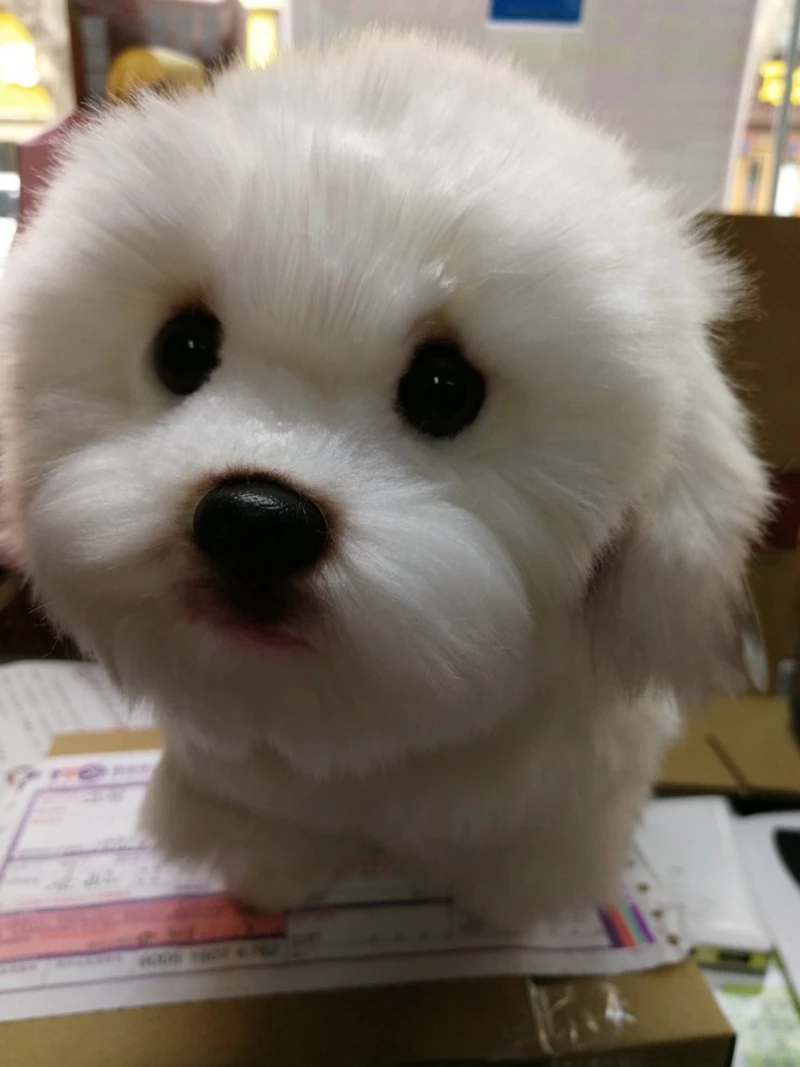 maltese dog plush