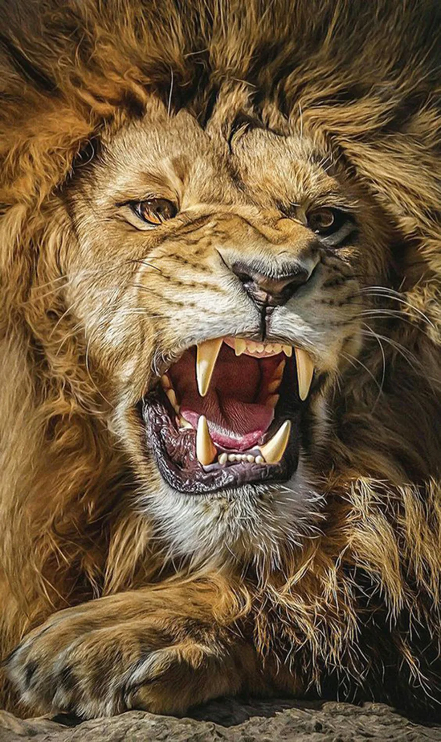 5D Diamond Paintings Full Drill Round Roaring Lion Mosaic Art Paint