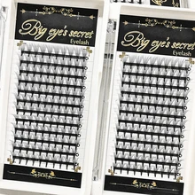 2 лотка 10 P Корея объемные ресницы Роскошные 10D предварительно сделанные вентиляторы индивидуальное наращивание ресниц